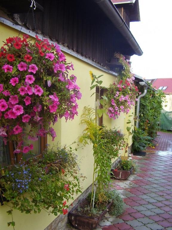 Penzion Many Peny Jindrichuv Hradec Exterior foto