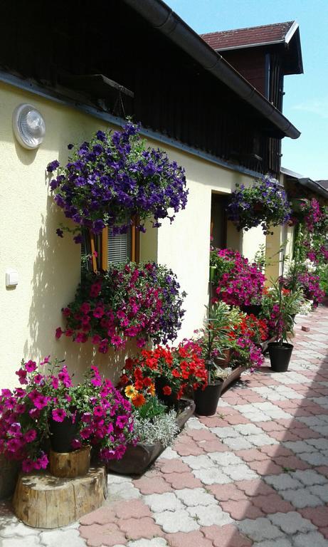 Penzion Many Peny Jindrichuv Hradec Exterior foto